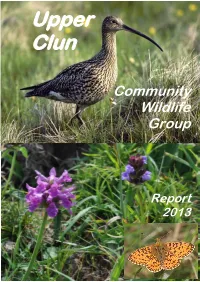 2013 UCCWG Report