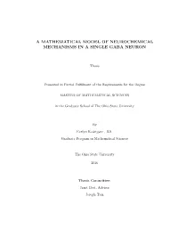 A Mathematical Model of Neurochemical Mechanisms