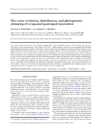 Evolution, Distribution, and Phylogenetic Clumping of a Repeated Gastropod Innovation