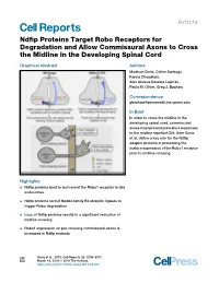 Ndfip Proteins Target Robo Receptors for Degradation and Allow