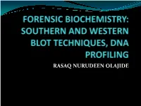 Southern and Western Blot Techniques, Dna Profiling