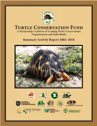 TCF Summary Activity Report 2002–2018