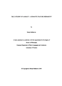 THE CATEGORY of ANMACY: a SEMANTIC FEATURE HIERARCWY? Marija Stefanovic a Thesis Submitted in Confomiity with the Requirements F