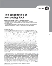The Epigenetics of Non-Coding RNA