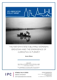 The Nation-State's Blurred Borders: Erdoğan and the Emergence Of