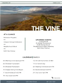 The Vine at a Glance