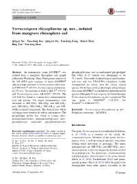 Verrucosispora Rhizosphaerae Sp. Nov., Isolated from Mangrove Rhizosphere Soil