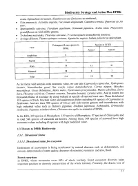 CBD Strategy and Action Plan