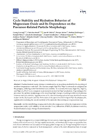 Cycle Stability and Hydration Behavior of Magnesium Oxide and Its Dependence on the Precursor-Related Particle Morphology