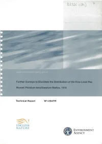 Display PDF in Separate