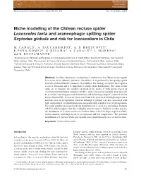 Niche Modelling of the Chilean Recluse Spider Loxosceles Laeta and Araneophagic Spitting Spider Scytodes Globula and Risk for Loxoscelism in Chile