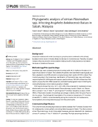 Phylogenetic Analysis of Simian Plasmodium Spp. Infecting Anopheles Balabacensis Baisas in Sabah, Malaysia