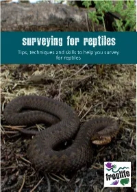 Surveying for Reptiles Tips, Techniques and Skills to Help You Survey for Reptiles