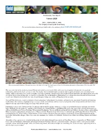 Printable PDF Format