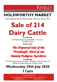 Sale of 214 Dairy Cattle