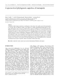 A Species-Level Phylogenetic Supertree of Marsupials