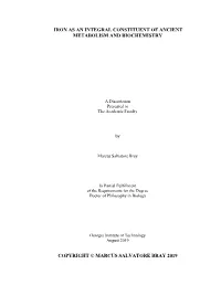 Iron As an Integral Constituent of Ancient Metabolism and Biochemistry