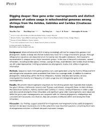 New Gene Order Rearrangements and Distinct Patterns of Codons Usage In