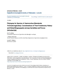 Phylogeny for Species of Haemonchus