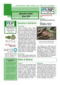 Quantula Striata Current Risk Status in Fiji: (Grey, 1834) Low FAMILY ARIOPHANTIDAE Body Type: Snail with Well Developed Shell