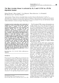 The Bmx Tyrosine Kinase Is Activated by IL-3 and G-CSF in a PI-3K Dependent Manner
