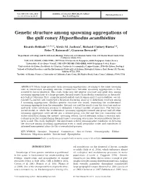 Genetic Structure Among Spawning Aggregations of the Gulf Coney Hyporthodus Acanthistius
