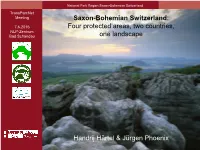 Saxon-Bohemian Switzerland Transparcnet Meeting Saxon-Bohemian Switzerland