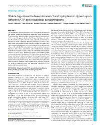 Stable Tug-Of-War Between Kinesin-1 and Cytoplasmic Dynein Upon Different ATP and Roadblock Concentrations Gina A
