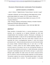 Structure of Biomolecular Condensates from Dissipative Particle Dynamics Simulations