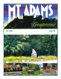 Fall 2020 Issue 68 Mt
