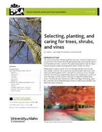 Selecting, Planting, and Caring for Trees, Shrubs, and Vines by Stephen L