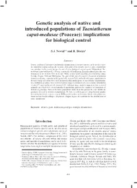 Genetic Analysis of Native and Introduced Populations of Taeniatherum Caput-Medusae (Poaceae): Implications for Biological Control