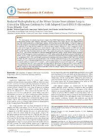 Reduced Hydrophobicity of the Minor Groove Intercalation Loop Is Critical