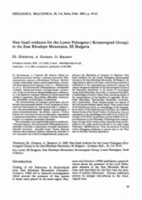 Full Page Photo