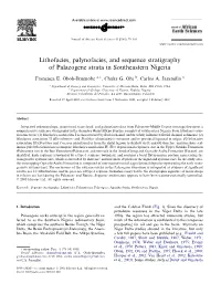 Lithofacies, Palynofacies, and Sequence Stratigraphy of Palaeogene Strata in Southeastern Nigeria