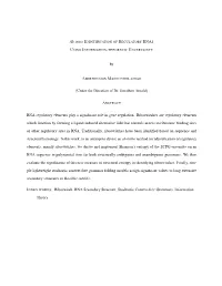 RNA Regulatory Elements Play a Significant Role in Gene
