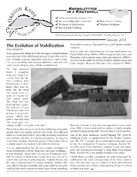 Knewslettter in a Knutshell
