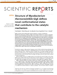 Structure of Mycobacterium Thermoresistibile Glge Defines