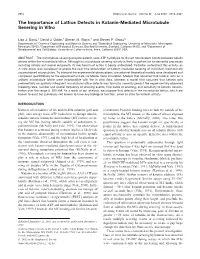 The Importance of Lattice Defects in Katanin-Mediated Microtubule Severing in Vitro