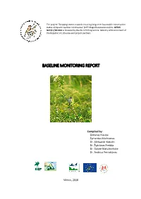 Baseline Monitoring Report