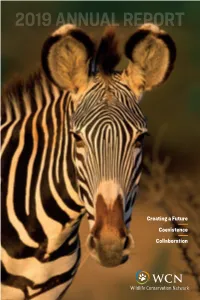 2019 Annual Report