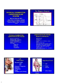 Physical Examination Cardiovascular System Physical Examination Cardiovascular System