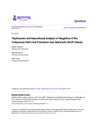 Taphonomic and Depositional Analysis of Megaflora of the Cretaceous Hell Creek Formation Near Marmarth, North Dakota