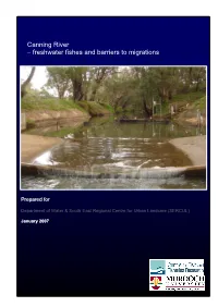Canning River – Freshwater Fishes and Barriers to Migrations