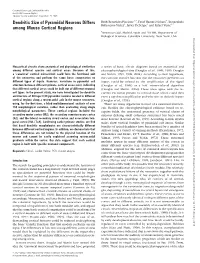 Dendritic Size of Pyramidal Neurons Differs Among Mouse Cortical