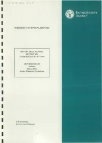 Display PDF in Separate