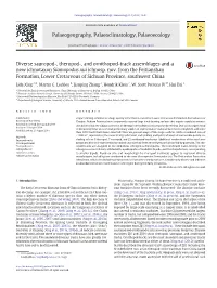 Diverse Sauropod-, Theropod-, and Ornithopod-Track Assemblages and a New Ichnotaxon Siamopodus Xui Ichnosp