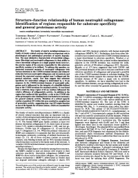 Structure-Function Relationship of Human Neutrophil Collagenase