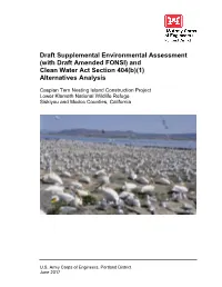 Caspian Tern Nesting Island Construction Draft Supplemental