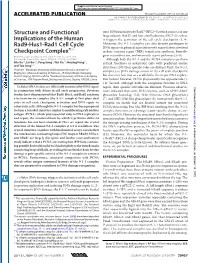 Structure and Functional Implications of the Human Rad9-Hus1-Rad1